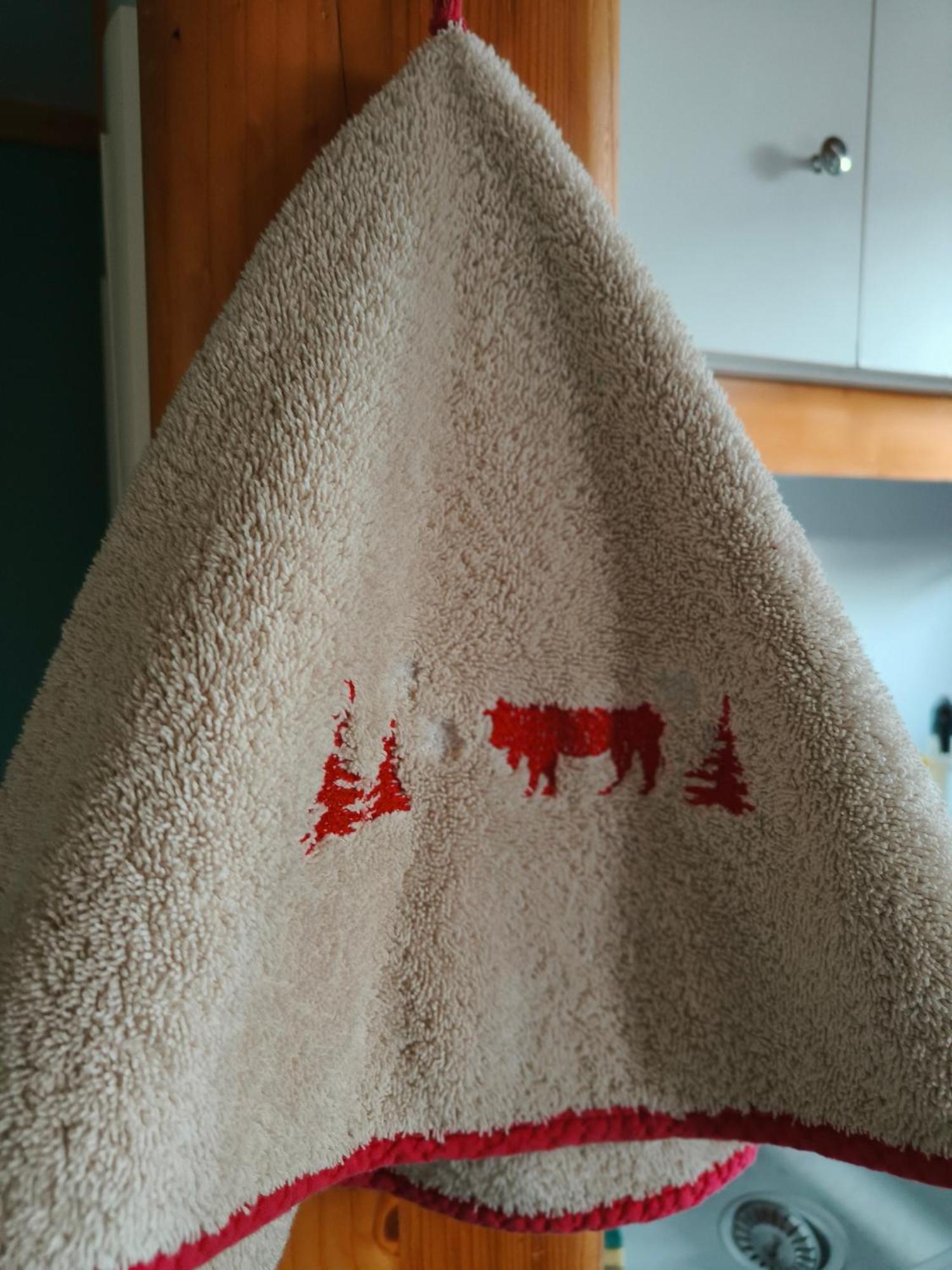 Chalets De La Colagne Bourgs sur Colagne Екстериор снимка